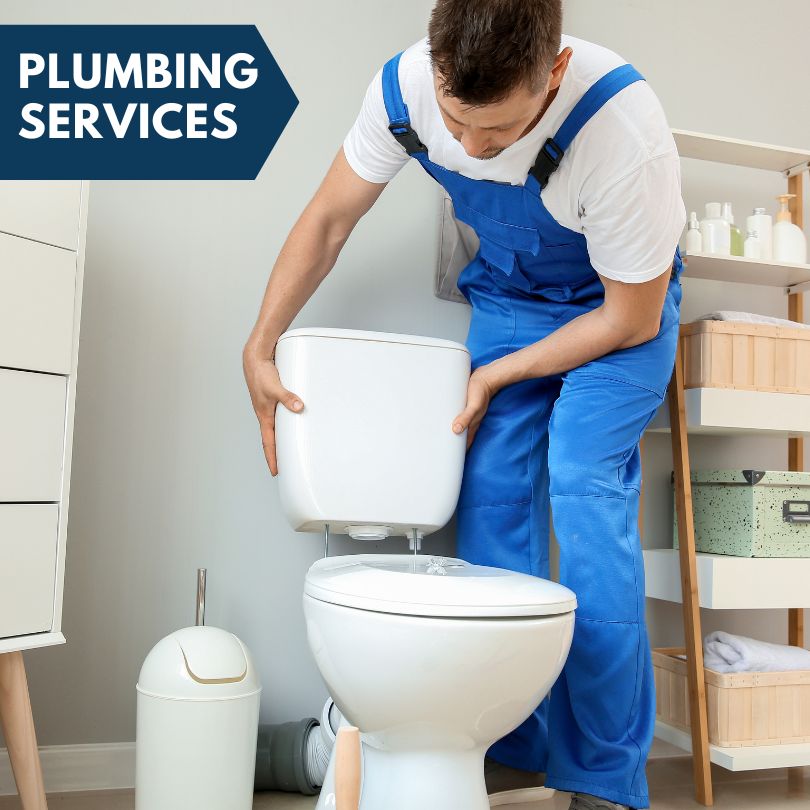 Plumbing Company in Flat Rock, MI